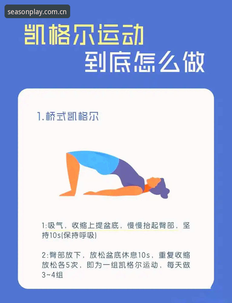 四季体育平台健身管理功能全面解析：从入门到精通的实用指南