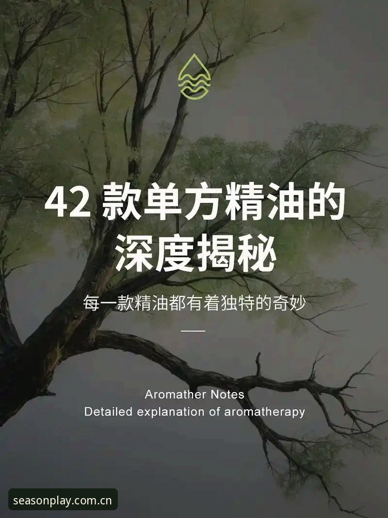 深度揭秘：四季体育平台官网下载地址背后的专业服务体系
