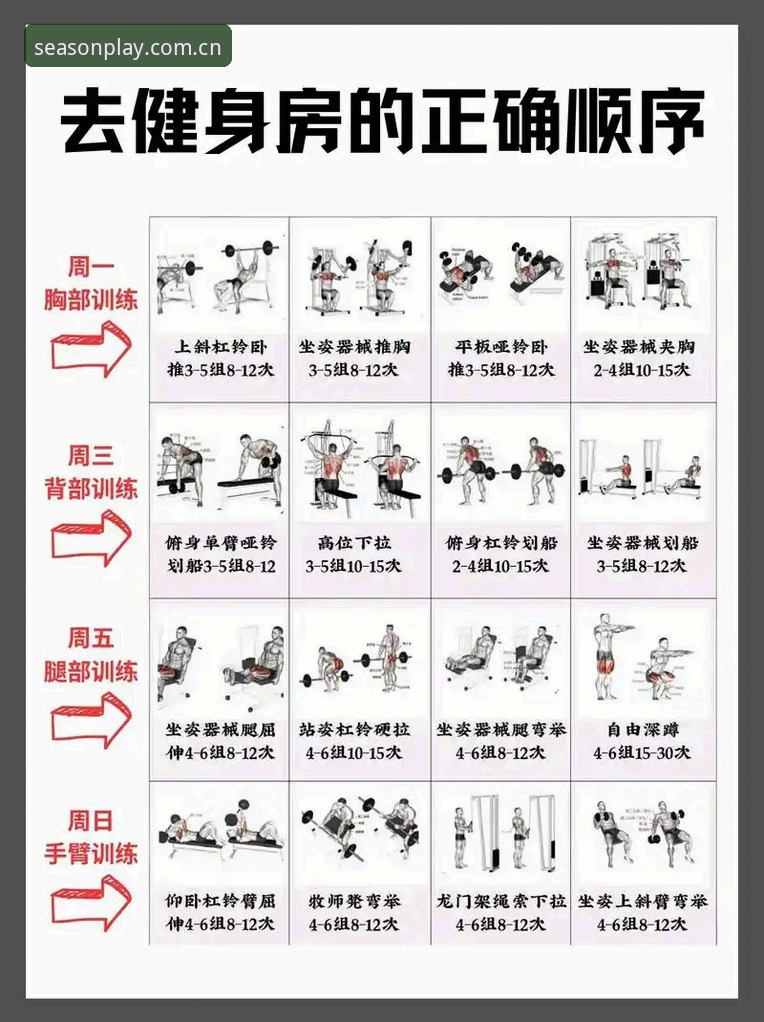 资深用户张磊的四季体育健身指南使用技巧全揭秘